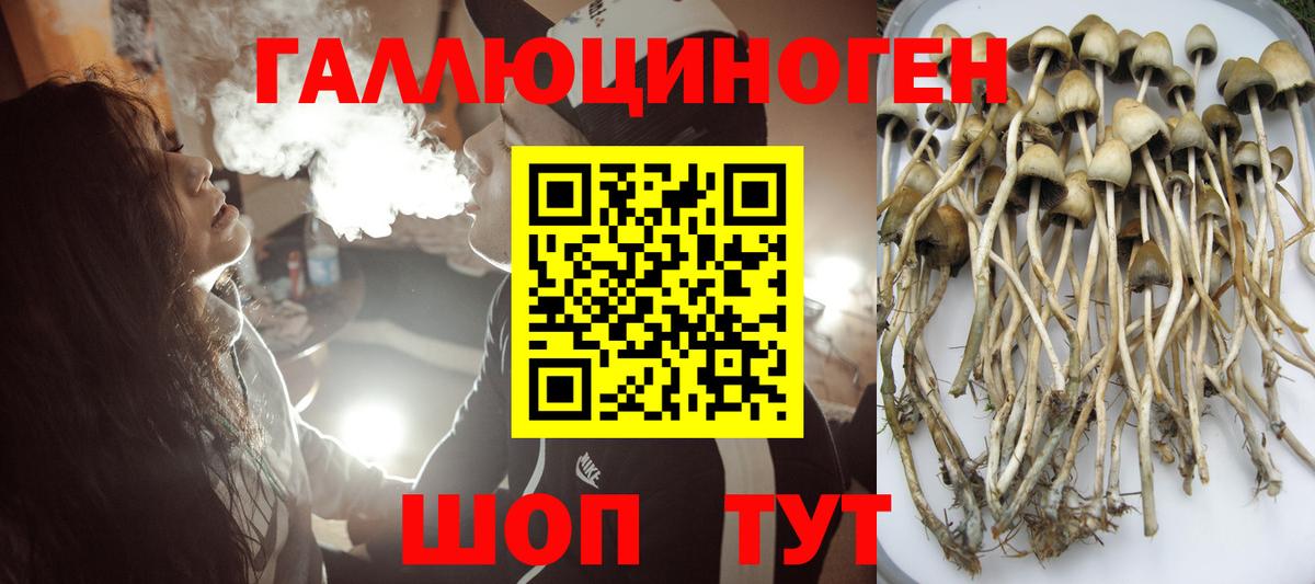 Галлюциногенные грибы Cubensis Троицк